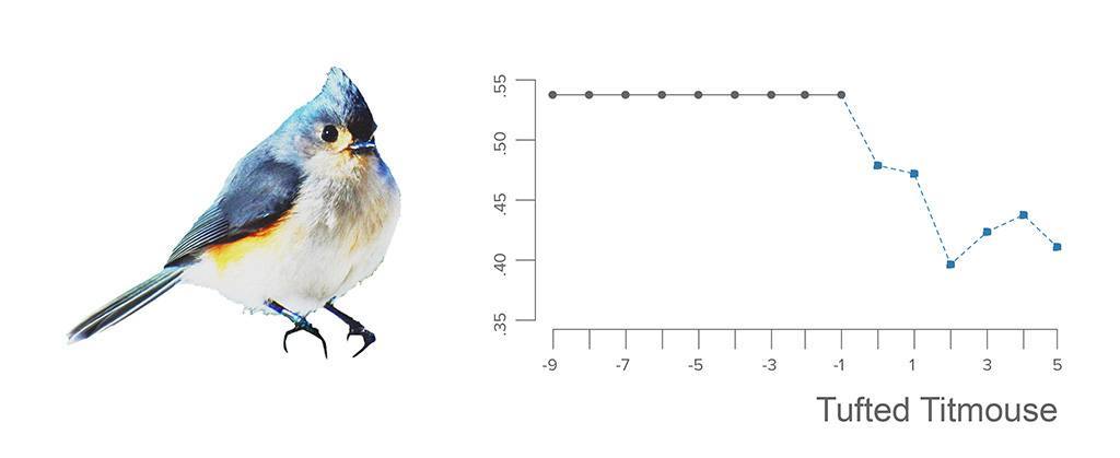 tufted-titmouse