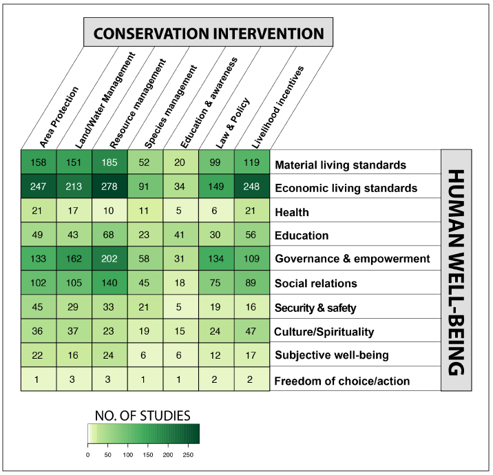 Fig 1. Researchers created an “evidence map” that allows users to click on a cell to find out more about studies that investigate the relationship between particular conservation policies and measures of human well-being.