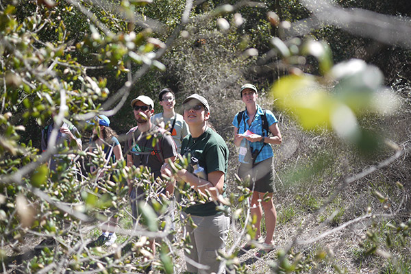 UCLA Ecology and Evolutionary Biology student Sarah Ratay describes how the Western Scrub-Jay makes use of chaparral habitat in the Santa Monica Mountains. Photo courtesy of the La Kretz Center for California Conservation Science.