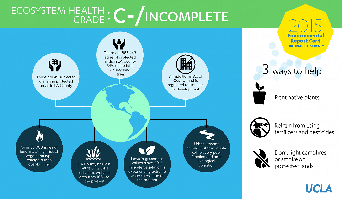 report-card-infographics-3-w1400