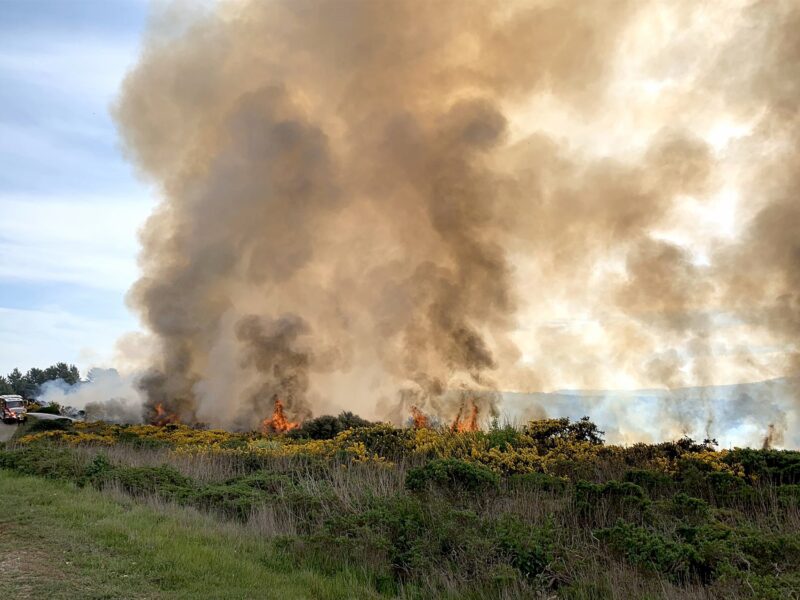 daniel swain in nbc news: some parts of california had no rain in february — and are already seeing wildfires