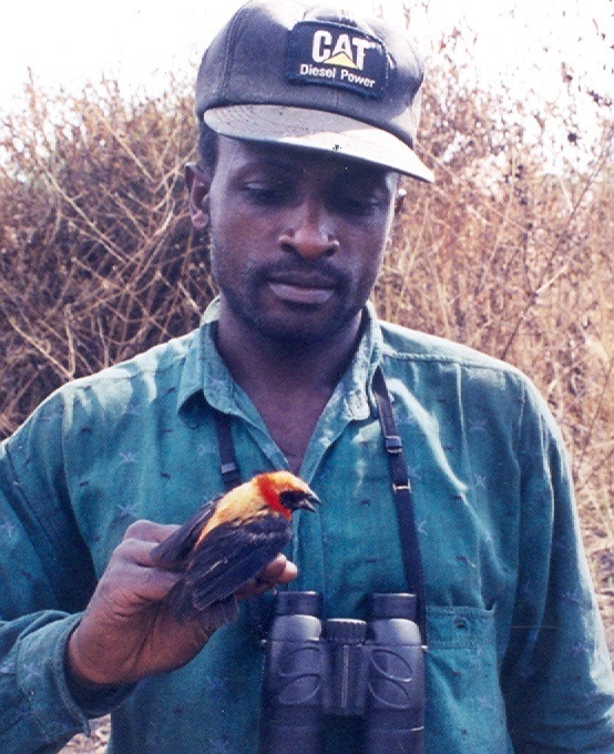 jean bernard dongmo