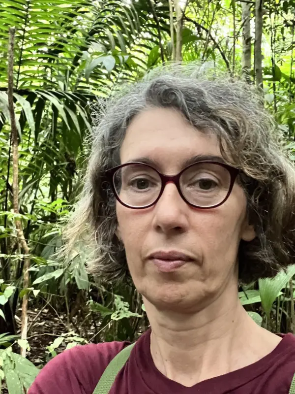 Ulli Seibt