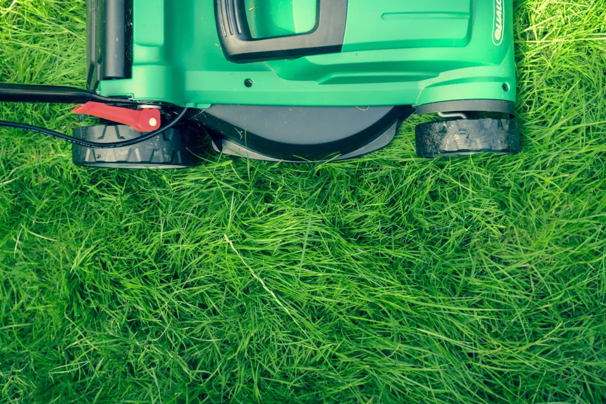 ecological and environmental effects of turf replacement in southern california