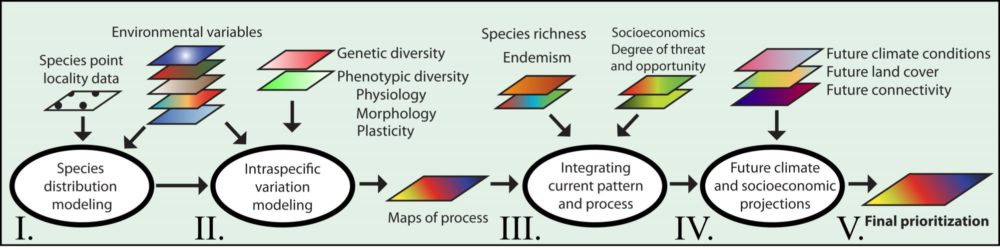 mapping evolutionary processes under climate change