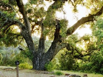 santa monica mountains research stations