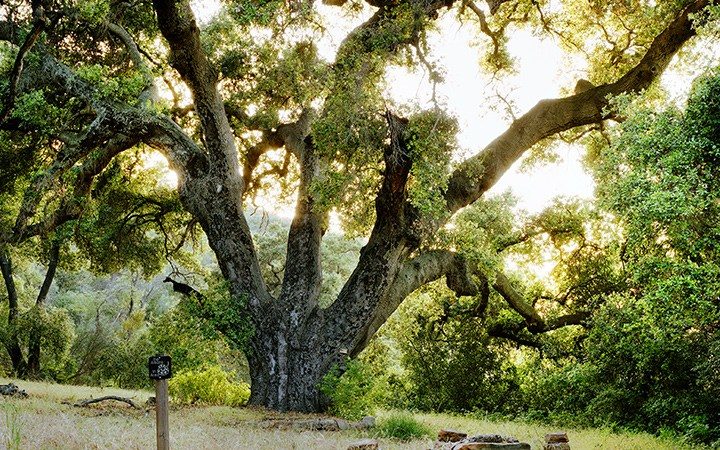 santa monica mountains research stations