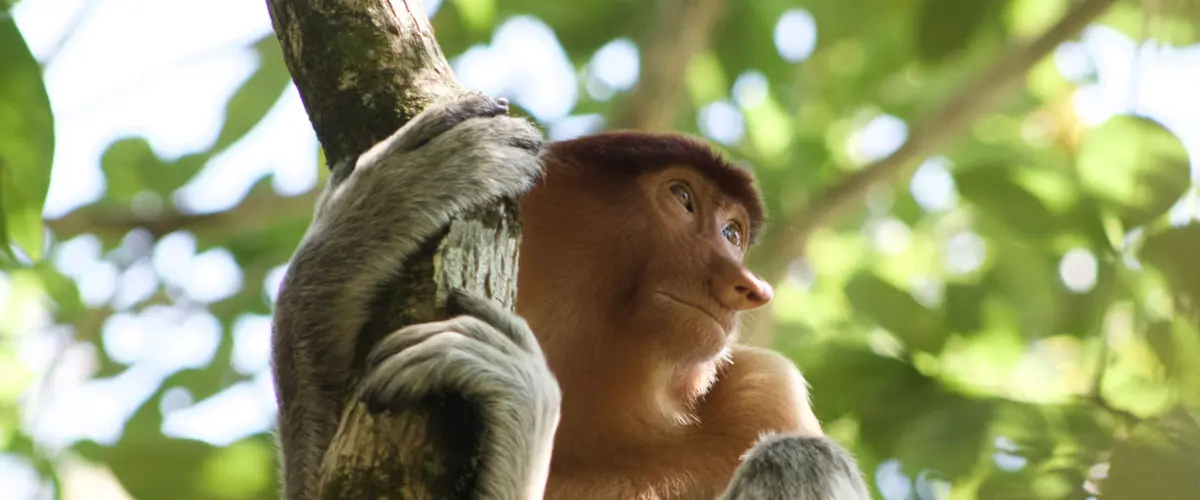 ​species and habitat conservation