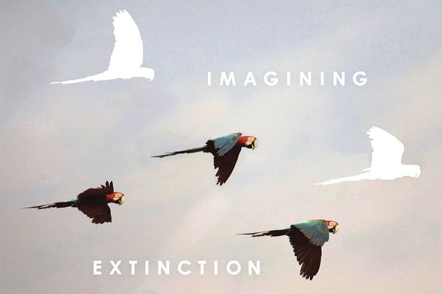 imagining extinction: the cultural meanings of endangered species