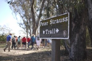 ucla biologists lead springtime nature walk