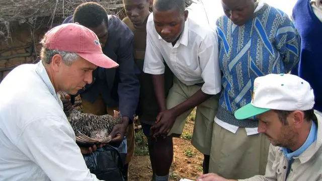 q&a: biologist tom smith on taking evolution into our own hands