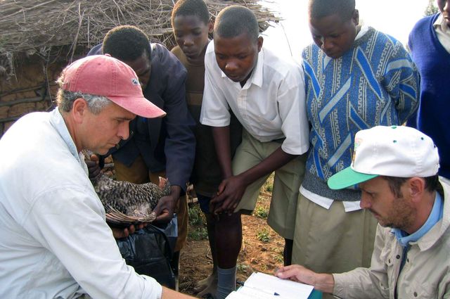 q&a: biologist tom smith on taking evolution into our own hands