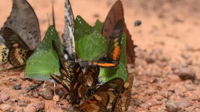 center for tropical research november 2014 newsletter