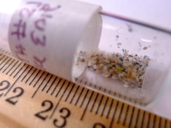 microbeads: water’s tiny trash problem