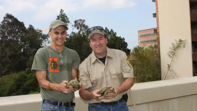 team turtle beats the drought