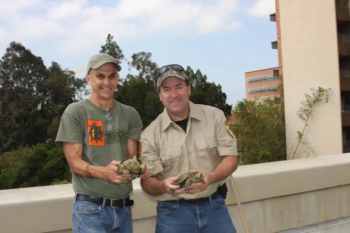 team turtle beats the drought