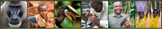 first redd+ project in cameroon announced