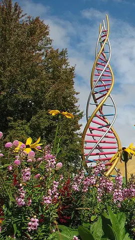 studying the physical units of heredity to help wildlife thrive