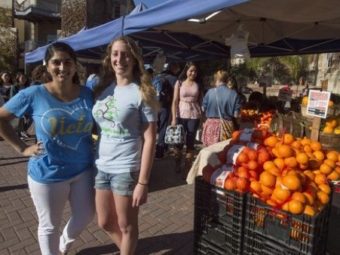 farmers markets: bruins like to feed on fresh fruit and vegetables