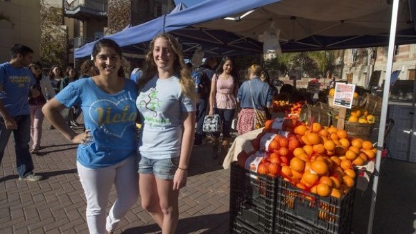 farmers markets: bruins like to feed on fresh fruit and vegetables