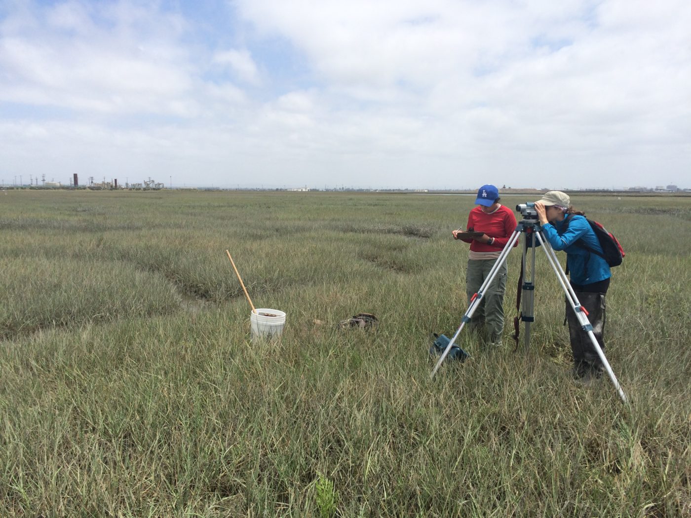 managing sea level rise in coastal wetlands