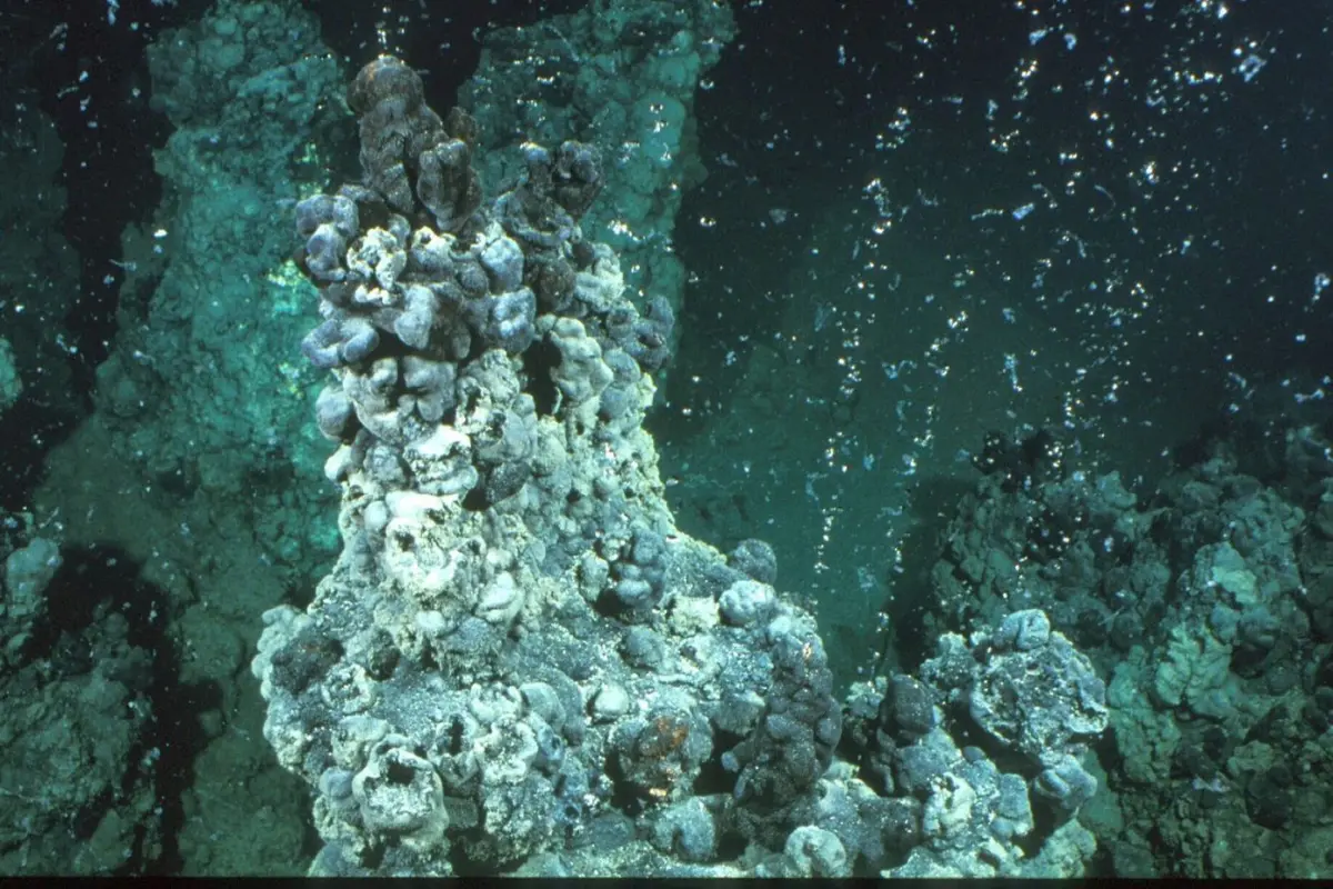 methane and microbes—making life happen