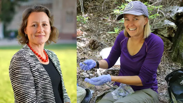 counting the cost of climate change: it’s all about numbers for ucla teaching fellowship winners