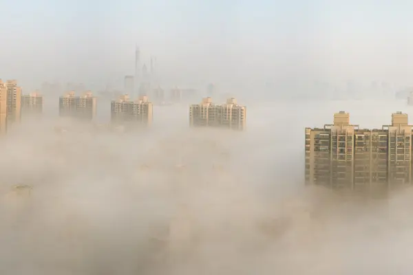 environment + public health: the new sustainability