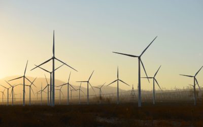 renewable energy ignites debate