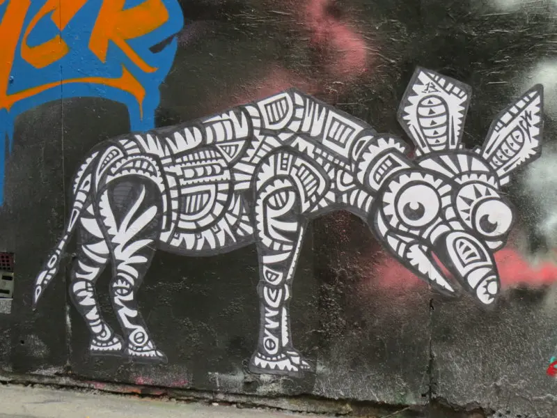 urban biodiversity: cultures, stories, taxonomies