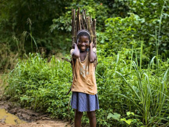 america’s legacy in its second term as facilitator of the congo basin forest partnership