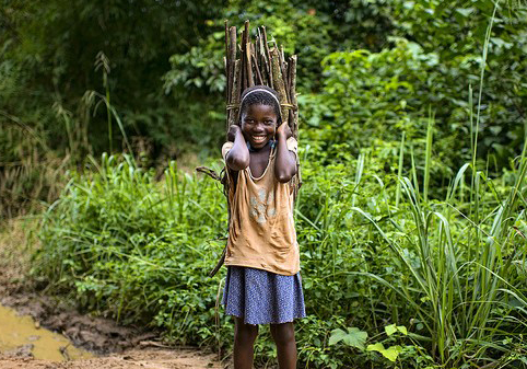 america’s legacy in its second term as facilitator of the congo basin forest partnership