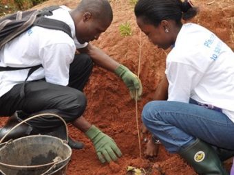 carn congo basin grant program