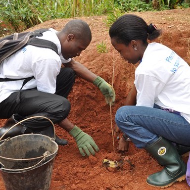 carn congo basin grant program