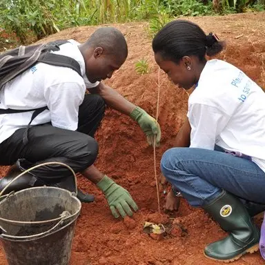carn congo basin grant program