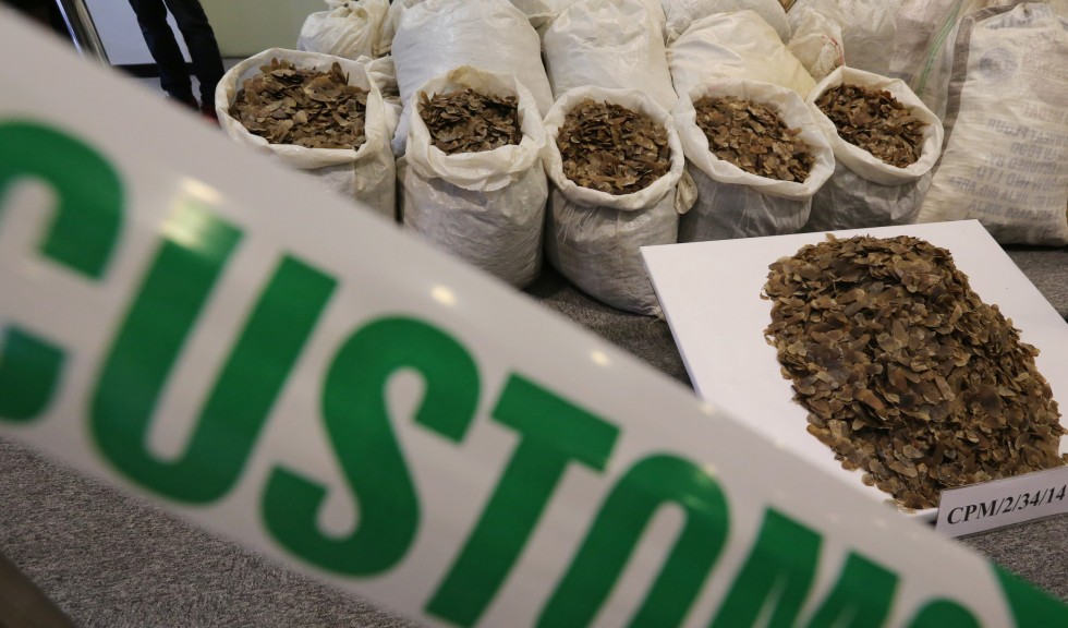 failing to grasp dire consequences of africa’s wildlife trade