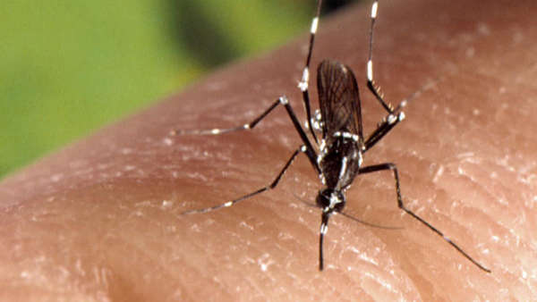 is west nile virus coming to your town? ucla releases first risk-assessment predictions