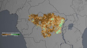 study finds less green in the congo rain forest