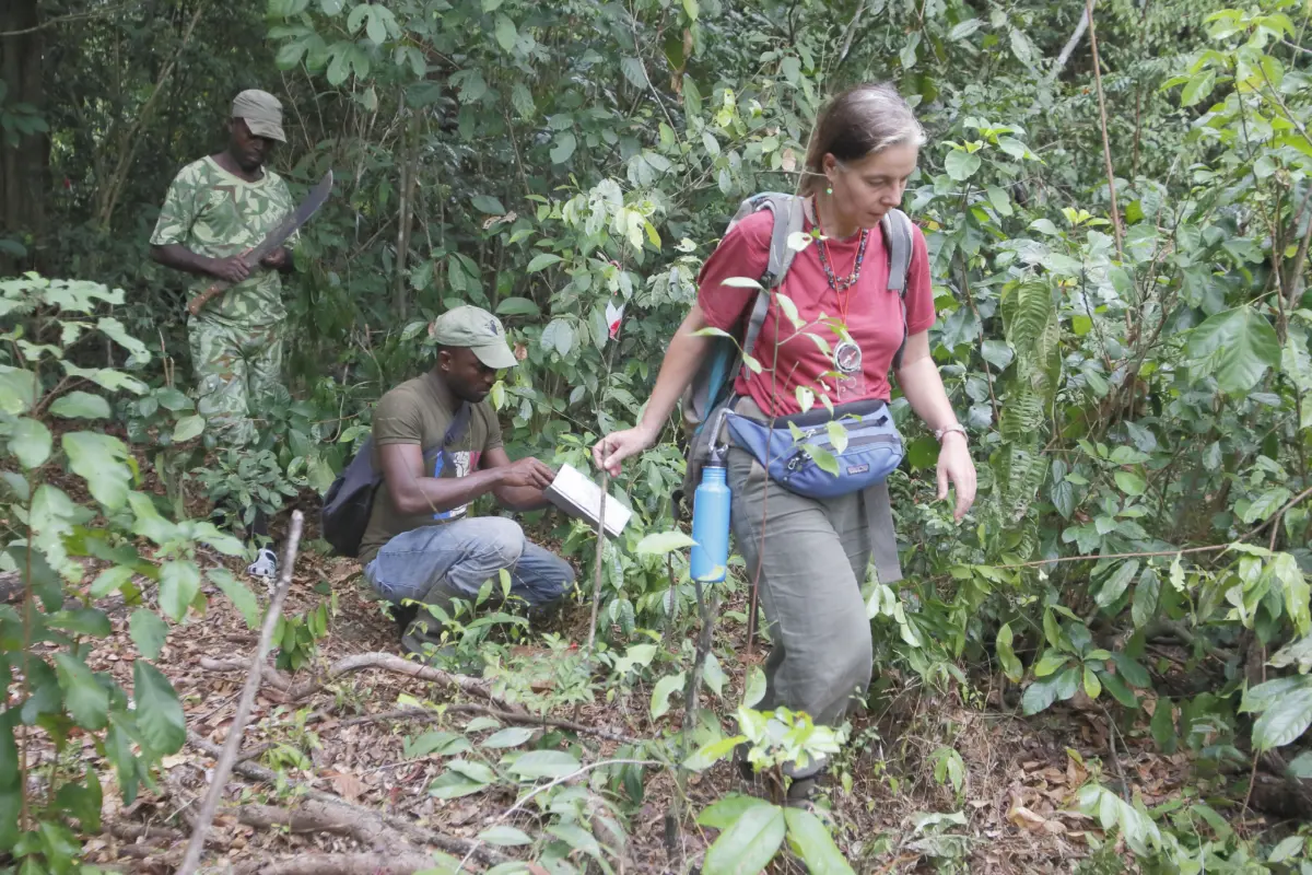summer field course in gabon, africa