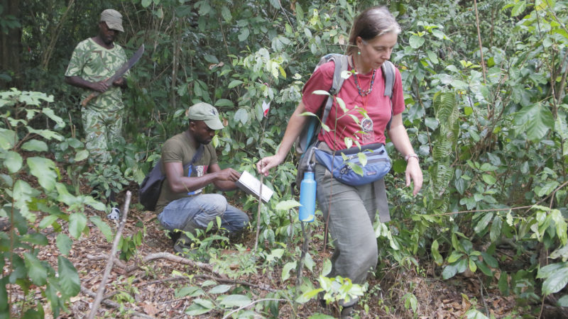 summer field course in gabon, africa