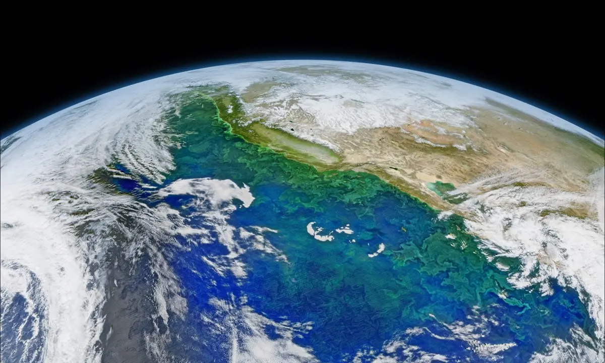 modeling oceanic hypoxia and acidification in the california current system