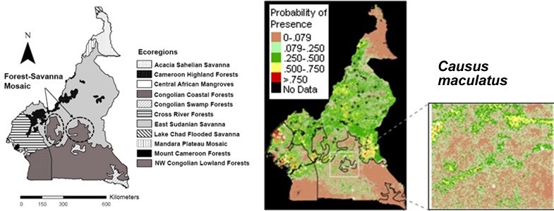 Predicting savanna snake invasion in Cameroon’s rainforest zone