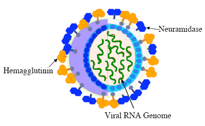 influenza_a