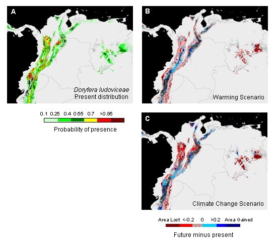  Impact of climate change on the geographic distribution of hummingbirds in the Northern Andes