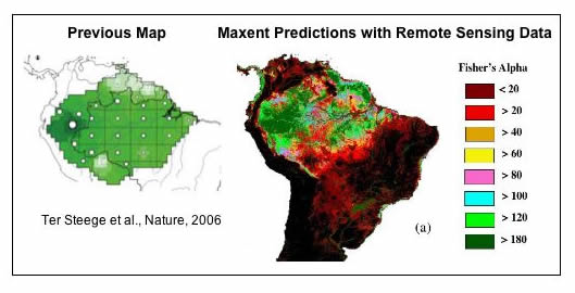 Potential geographic distribution of tree diversity in the Amazon basin