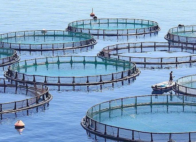fish-farm-hero-crop