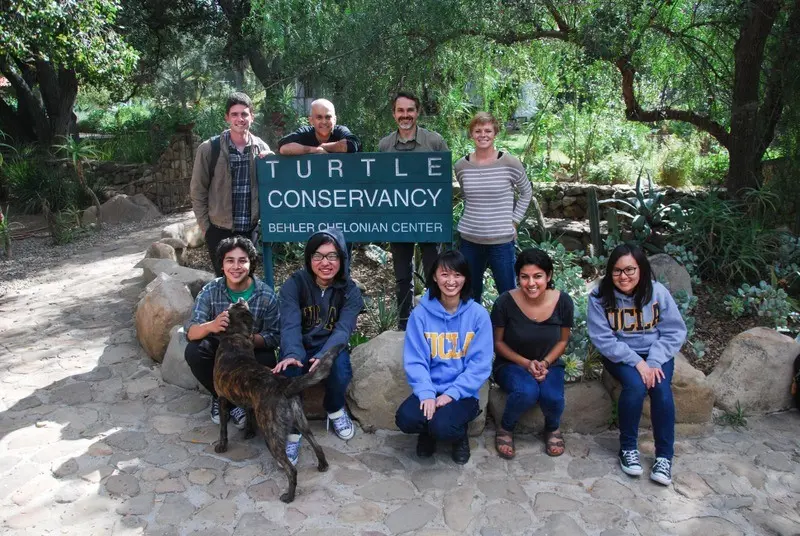 reintroducing threatened western pond turtles into southern california ecosystems