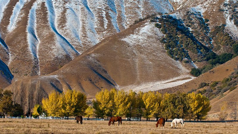 tejon-keith-skelton-small