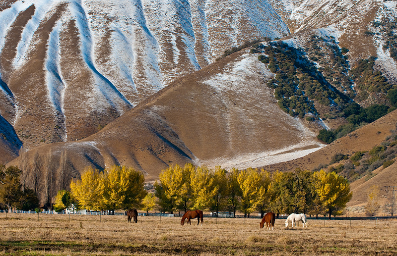 tejon-keith-skelton-small