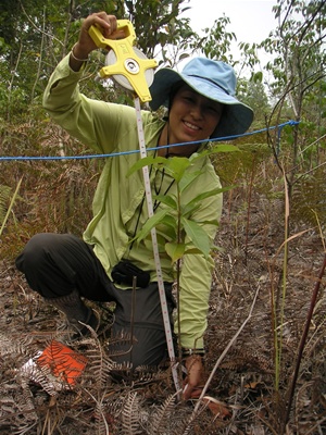 akane nishimura